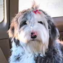 Thumbnail photo of Annabelle #1