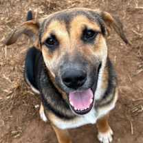 Thumbnail photo of Rachel #1