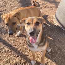 Thumbnail photo of Rachel #2