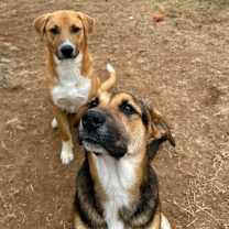 Thumbnail photo of Rachel #4