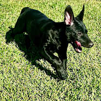 Thumbnail photo of Fruit Loop #2