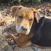 Thumbnail photo of Fred #4