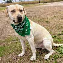 Thumbnail photo of John #2