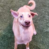 Thumbnail photo of Ken #2