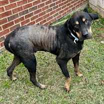 Thumbnail photo of Gumba #2