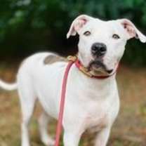 Thumbnail photo of Emmie #2