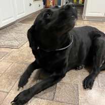 Thumbnail photo of Max #2