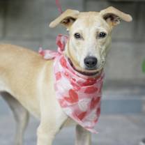 Thumbnail photo of Jimmina #3