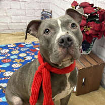 Thumbnail photo of Vinda #4