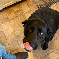 Thumbnail photo of Max #4