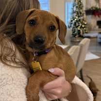 Thumbnail photo of Shae #1