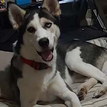 Thumbnail photo of Monroe #2