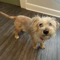 Thumbnail photo of Gabriella #4