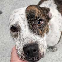 Thumbnail photo of Fiona #1