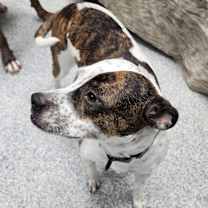 Thumbnail photo of Fiona #3