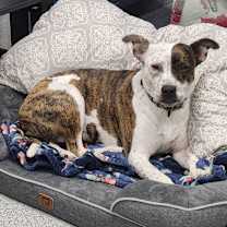 Thumbnail photo of Fiona #4