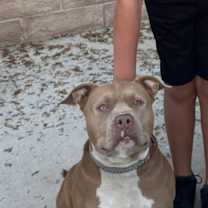 Thumbnail photo of Khloe #2