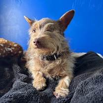 Thumbnail photo of Kai #3