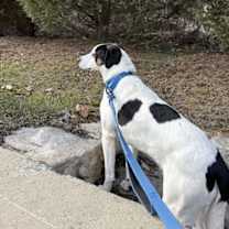 Thumbnail photo of Popcorn #2