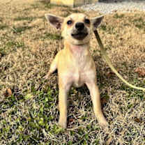 Thumbnail photo of Adelicia #3