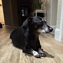 Thumbnail photo of Wellington #3