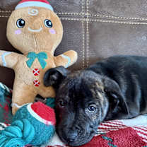 Thumbnail photo of Renee #2