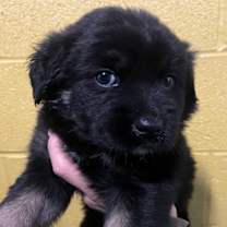 Thumbnail photo of Storm #1