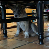 Thumbnail photo of Audrey Griswold #4