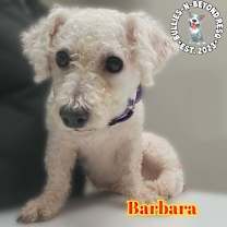 Thumbnail photo of Barbara #3