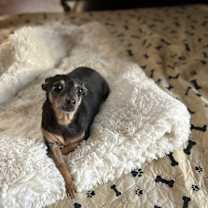 Thumbnail photo of Raya #4