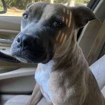 Thumbnail photo of Soriana #1