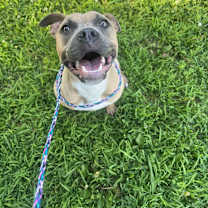 Thumbnail photo of Soriana #2