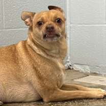 Thumbnail photo of Toot #1