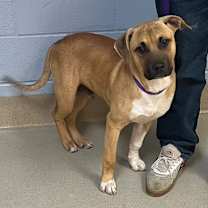 Thumbnail photo of 12/15/25 #2