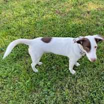 Thumbnail photo of Lucky #3