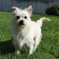 Thumbnail photo of Tobi #4