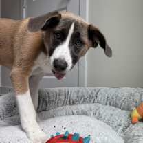 Thumbnail photo of Mugged off #2