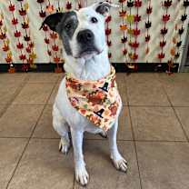 Thumbnail photo of Estelle #3