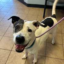 Thumbnail photo of Estelle #4