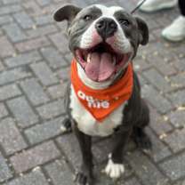 Thumbnail photo of Polo #4