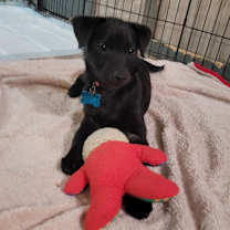 Thumbnail photo of Coco #4