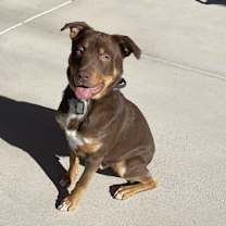 Thumbnail photo of Bean #1