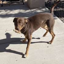 Thumbnail photo of Bean #2