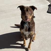 Thumbnail photo of Bean #3