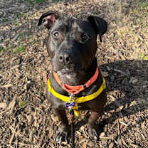 Thumbnail photo of Mac #4