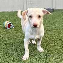 Thumbnail photo of Benson 0888 #4