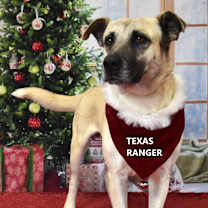 Thumbnail photo of Texas Ranger #1