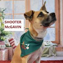 Thumbnail photo of Shooter McGavin #1