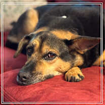 Thumbnail photo of Breanne #1