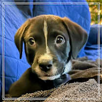 Thumbnail photo of Selena Lou  #1